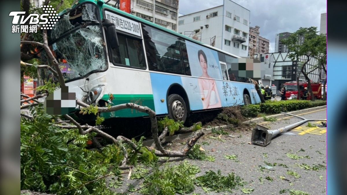 公車衝上分隔島撞斷路樹、燈桿。(圖/TVBS)