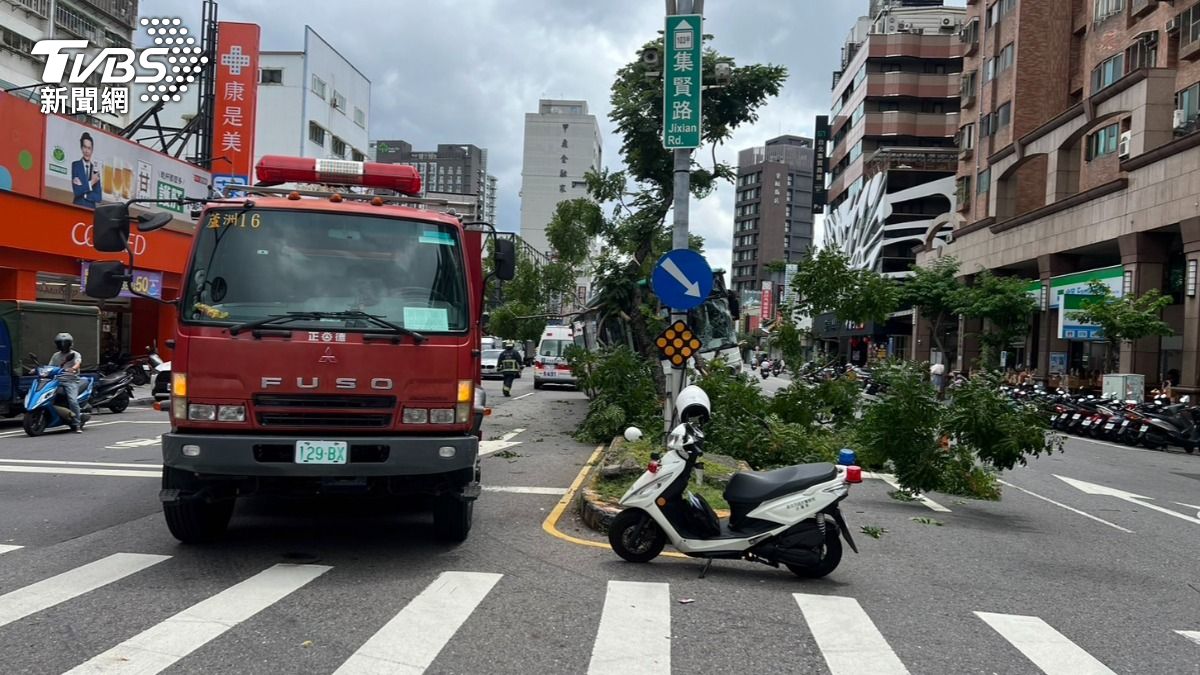公車衝上分隔島撞斷路樹、燈桿。(圖/TVBS)