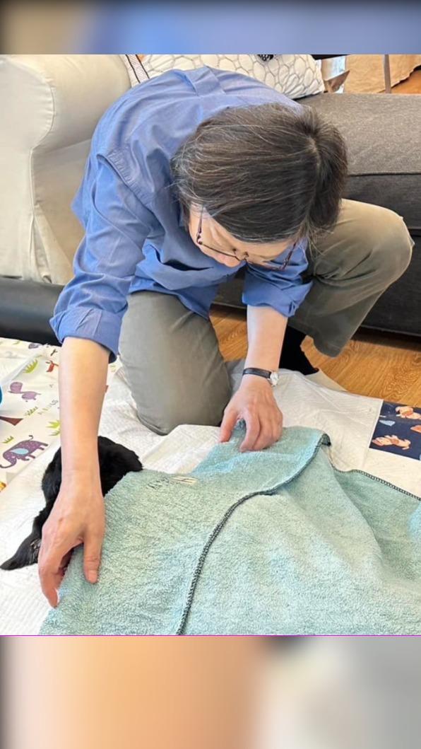蔡英文愛犬Maru昨離世。(圖/翻攝蔡英文臉書)