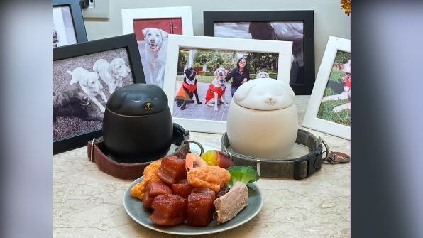 蔡英文愛犬Maru昨離世。(圖/翻攝蔡英文臉書)