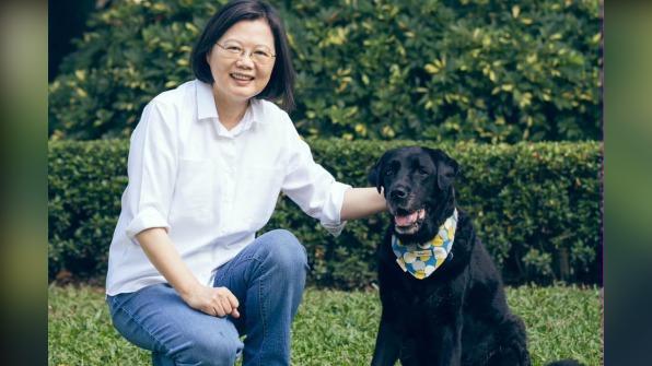 愛犬Maru離世 蔡英文感謝多年陪伴「我會一直記得你」