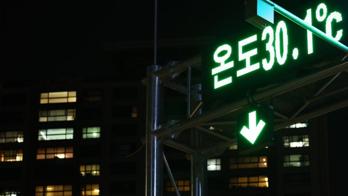 首爾「熱帶夜」繼續熱!持續一個月破紀錄 218萬隻魚熱死