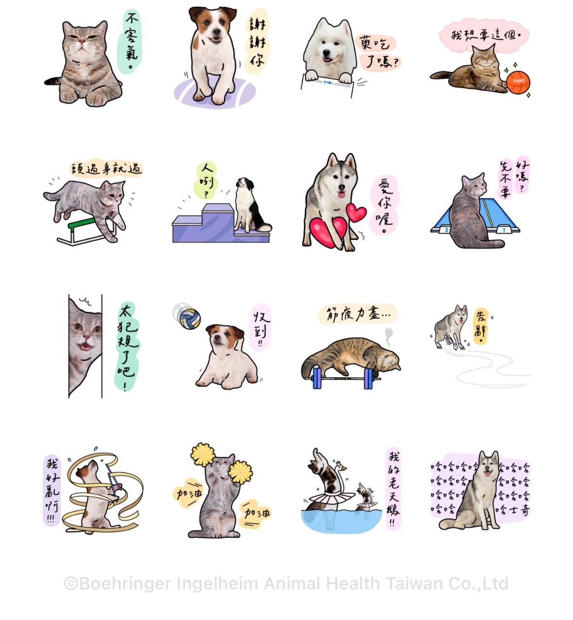 LINE免費貼圖-LINE貼圖下載-LINE免費貼圖下載-LINE貼圖免費