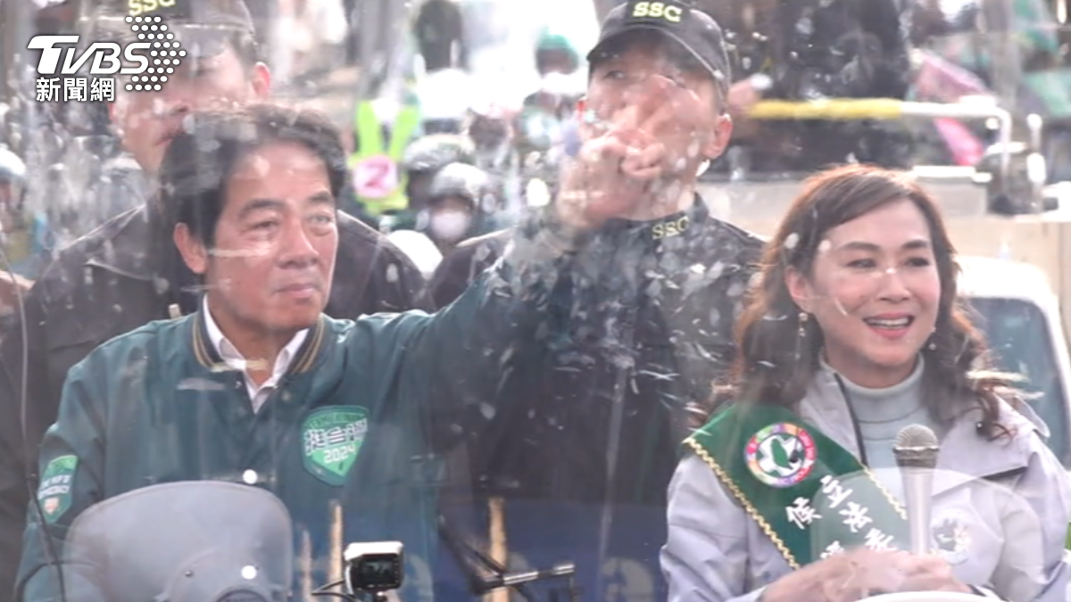民進黨立委林宜瑾(圖/TVBS)