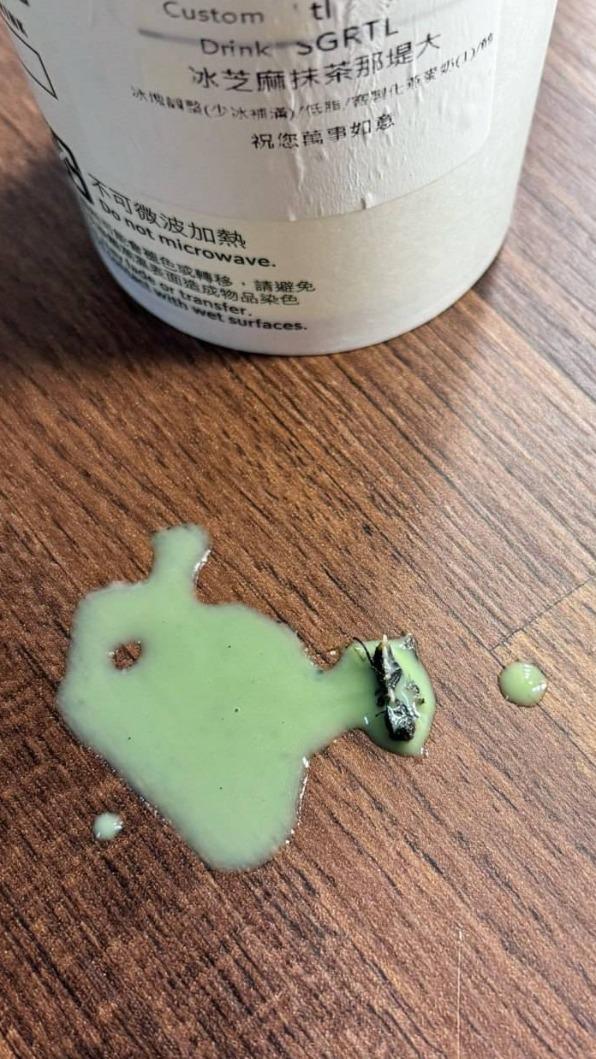 女網友喝星巴克咬到蒼蠅+死蛆。（圖／翻攝自黑色豪門企業）