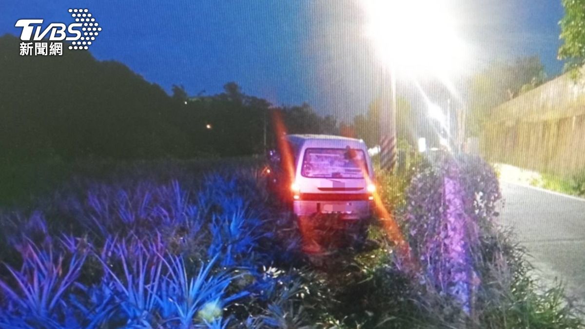 獨/高雄伯車開一半昏厥爆衝「墜鳳梨田」 警急拉人救一命