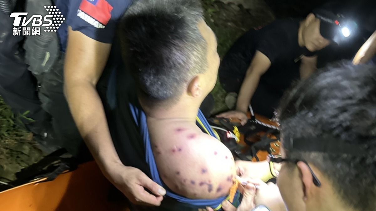秋季「聞蜂色變」!領隊護團員遭虎頭蜂狂螫身亡 林業署揭3大點保命