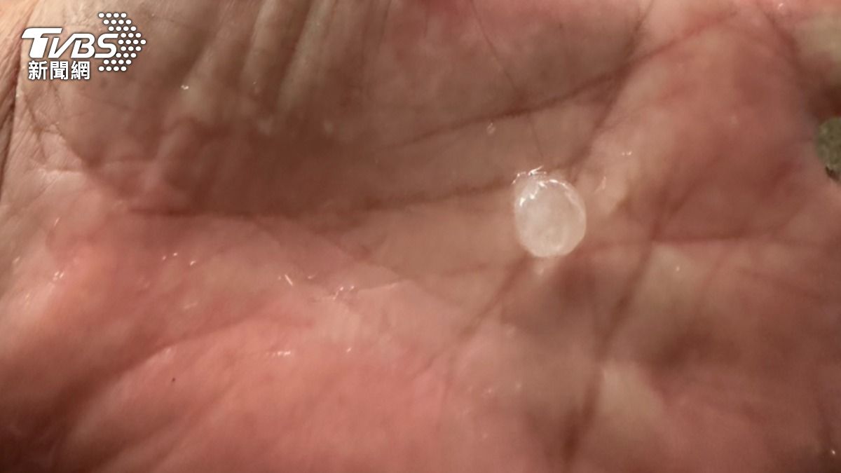 冰雹大小像一粒玉米。(圖/光隆里長張雅芳)
