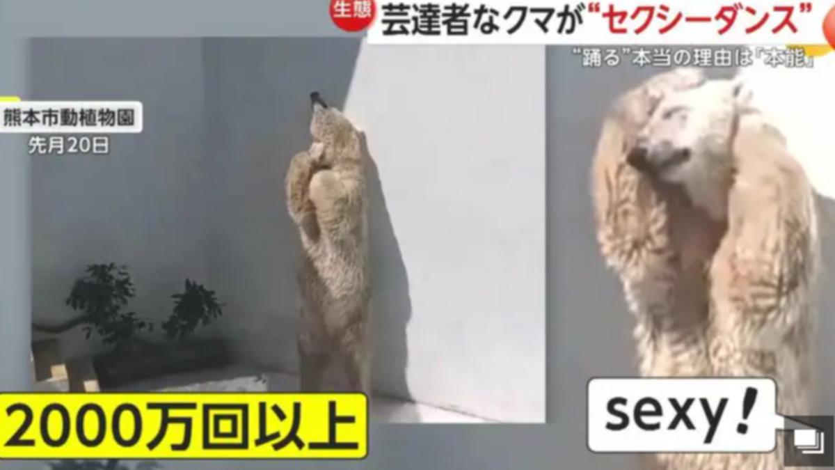 MARURU「性感熱舞」的影片觀看數破2千萬。(圖/翻攝自富士新聞網)