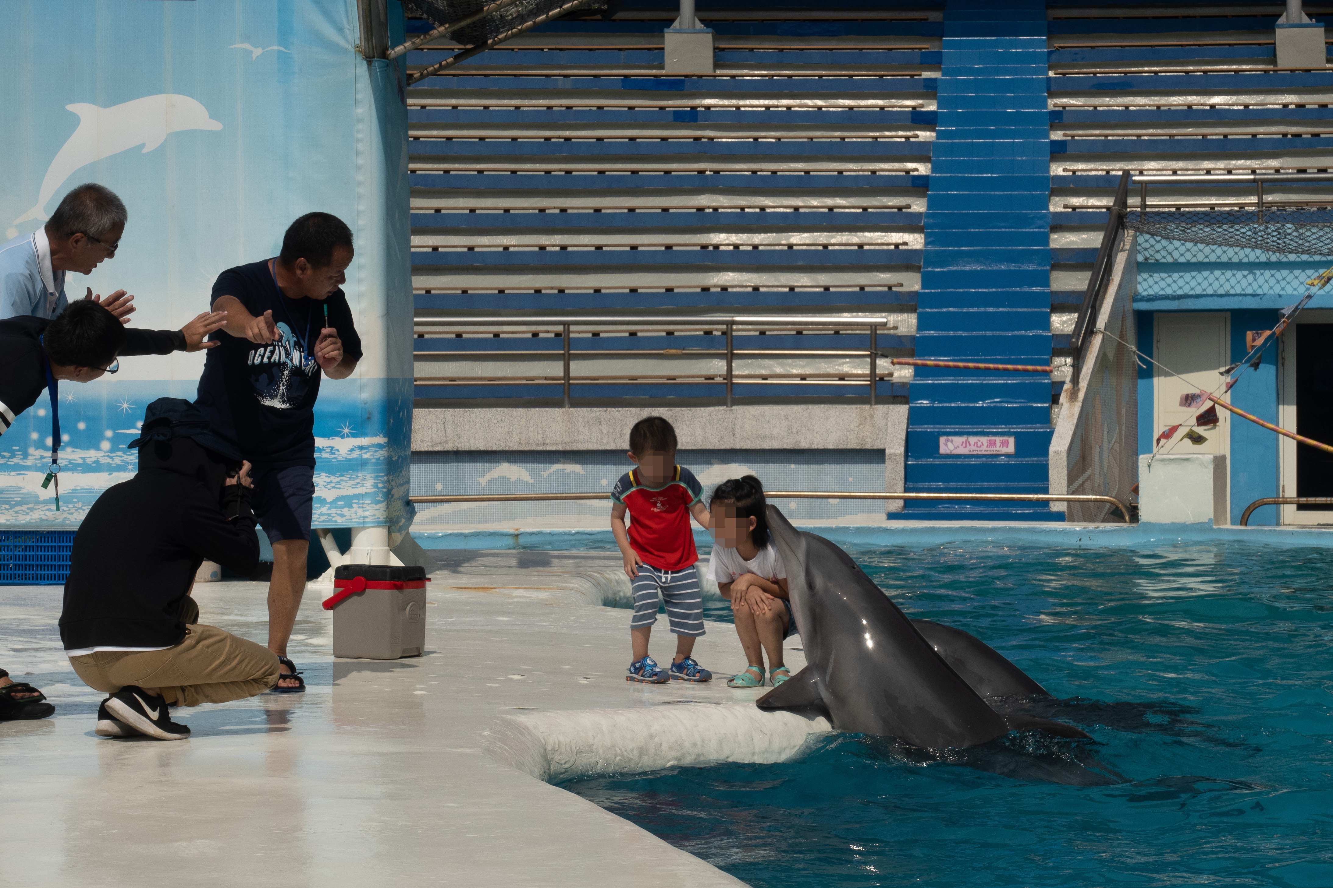 海陸保育動物皆不得表演　台灣動保揭新頁