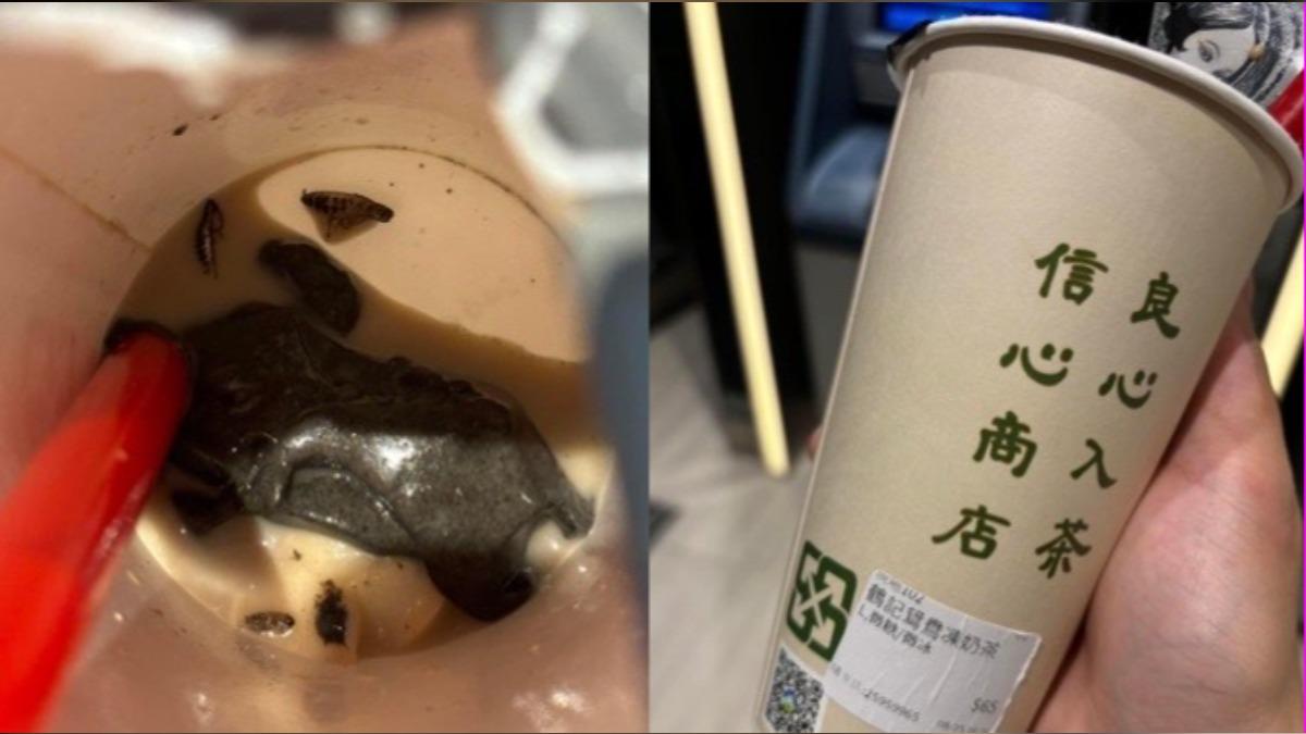 男喝鶴茶樓芝麻凍飲「咬到爆漿蟑螂」　衛生局要查了