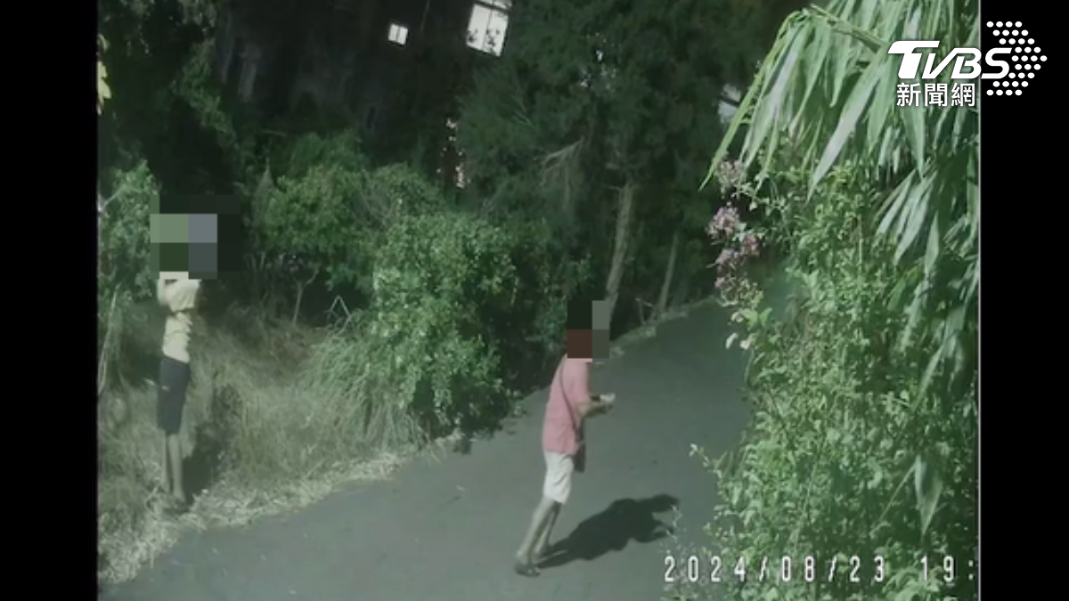 黃姓父子深夜掃射木瓜園。（圖／TVBS）