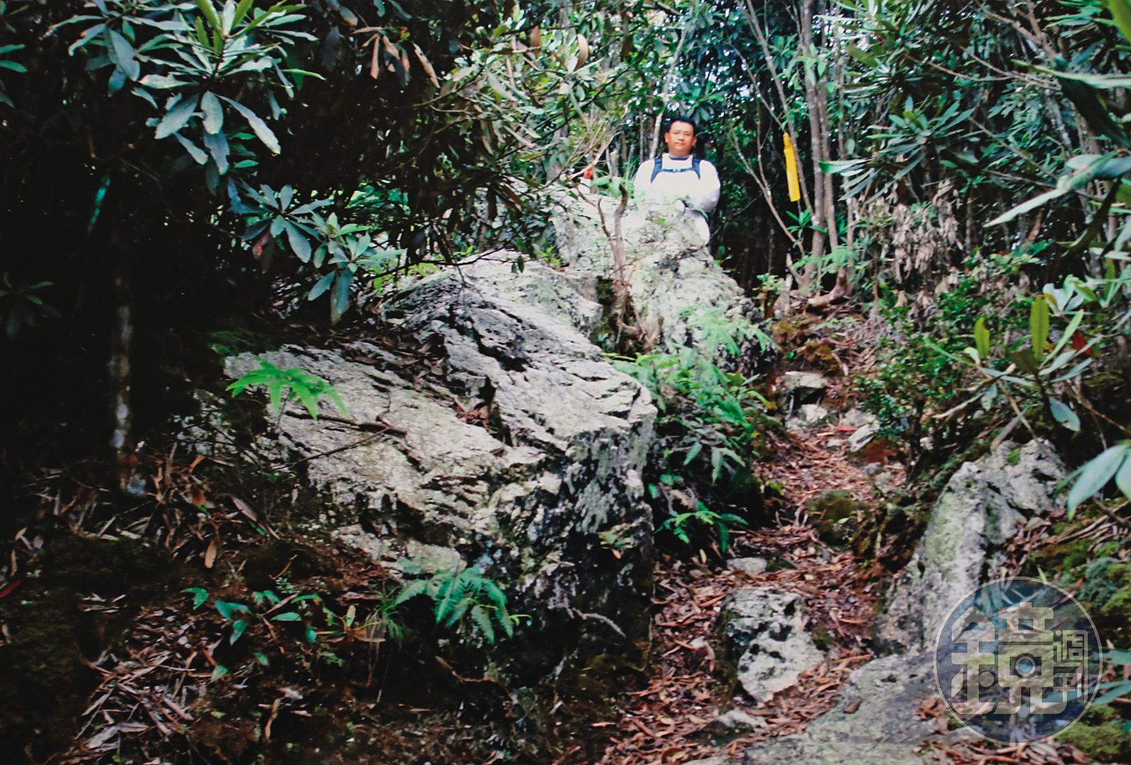 南投縣信義鄉水社大山的水晶礦山,二氧化矽成分逾99%,開採價值極高。(圖/受訪者提供)