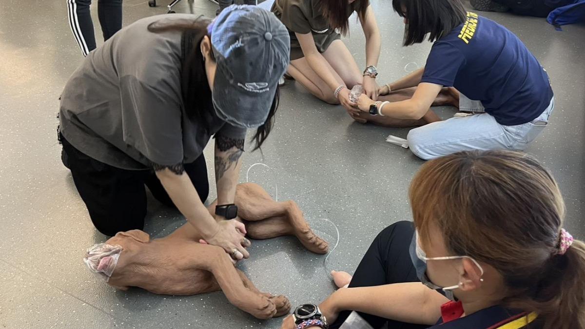毛小孩防中暑！新北動保處「寵物CPR訓練」把握黃金3分鐘