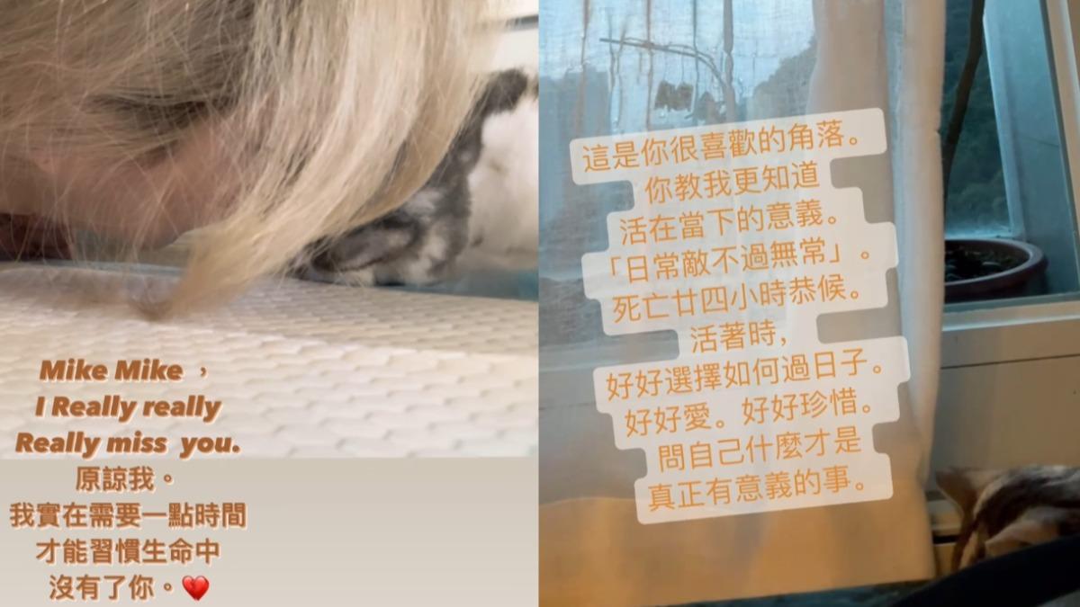 鄭秀文在社群訴說對愛貓的思念。(圖/翻攝自鄭秀文IG)