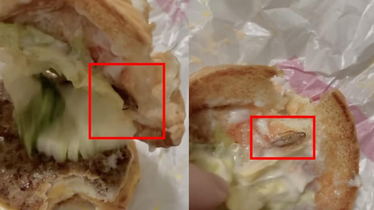 麥當勞漢堡「驚現蟑螂」！她險吃下肚崩潰喊：噁爆　業者道歉了