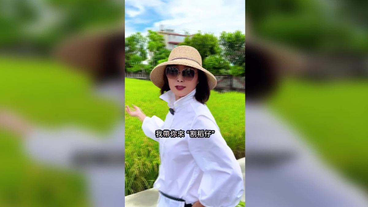 圖／翻攝自　來莿桐找Sandy 