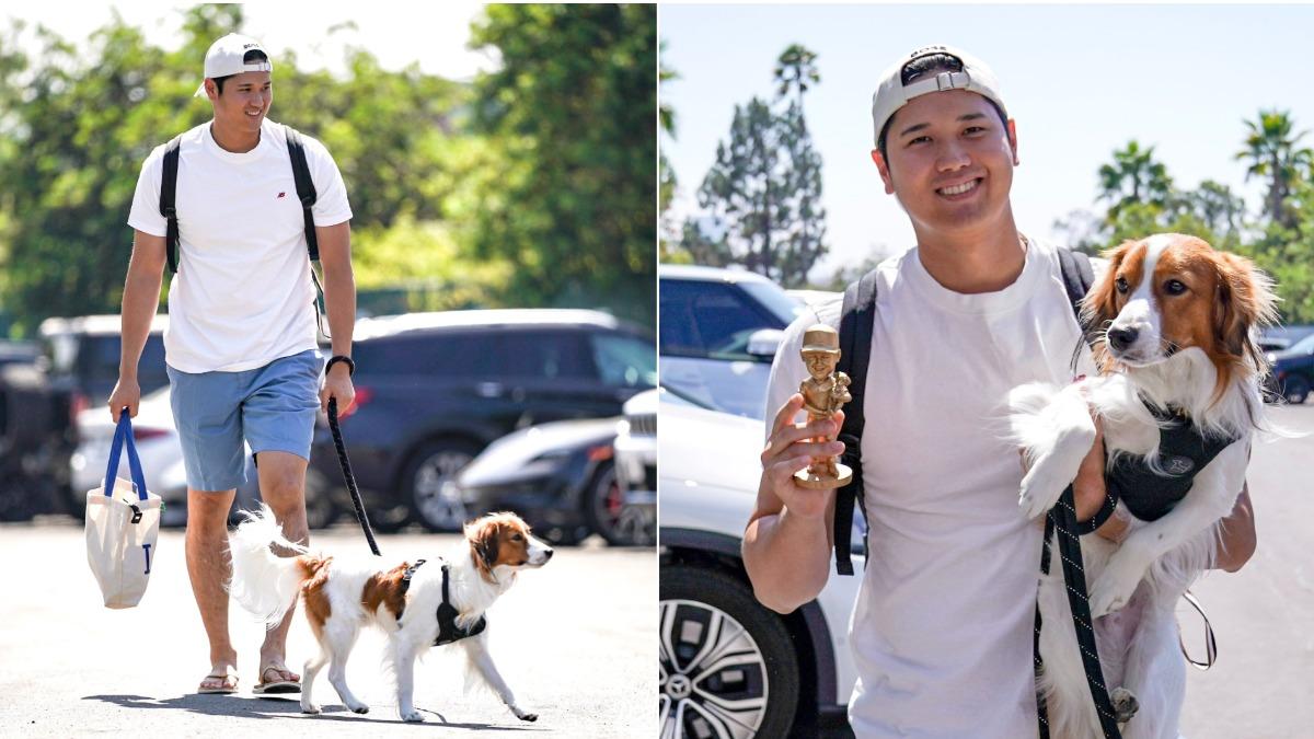 大谷翔平29日特別帶著愛犬Decoy現身自己的搖頭娃娃日。(圖/翻攝自X@Dodgers)