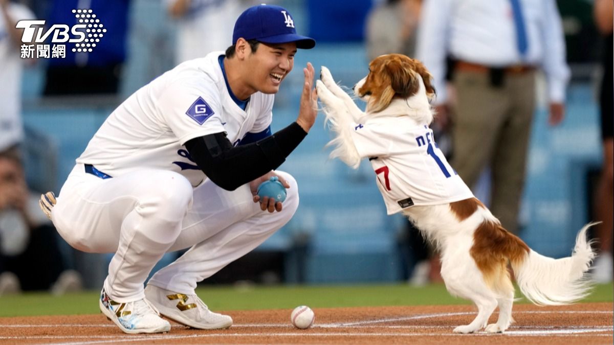 道奇「大谷搖頭娃娃日」球迷朝聖! 愛犬現身開球萌翻全場