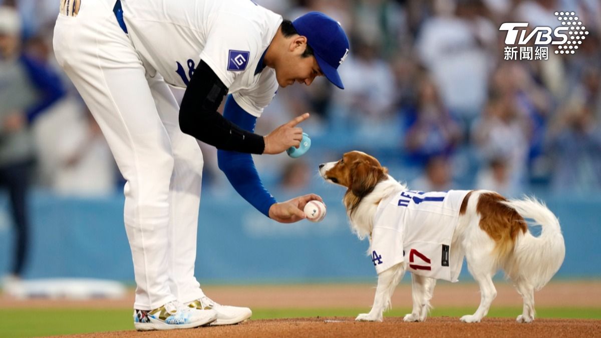 大谷翔平與愛犬Decoy。(圖/達志影像美聯社)