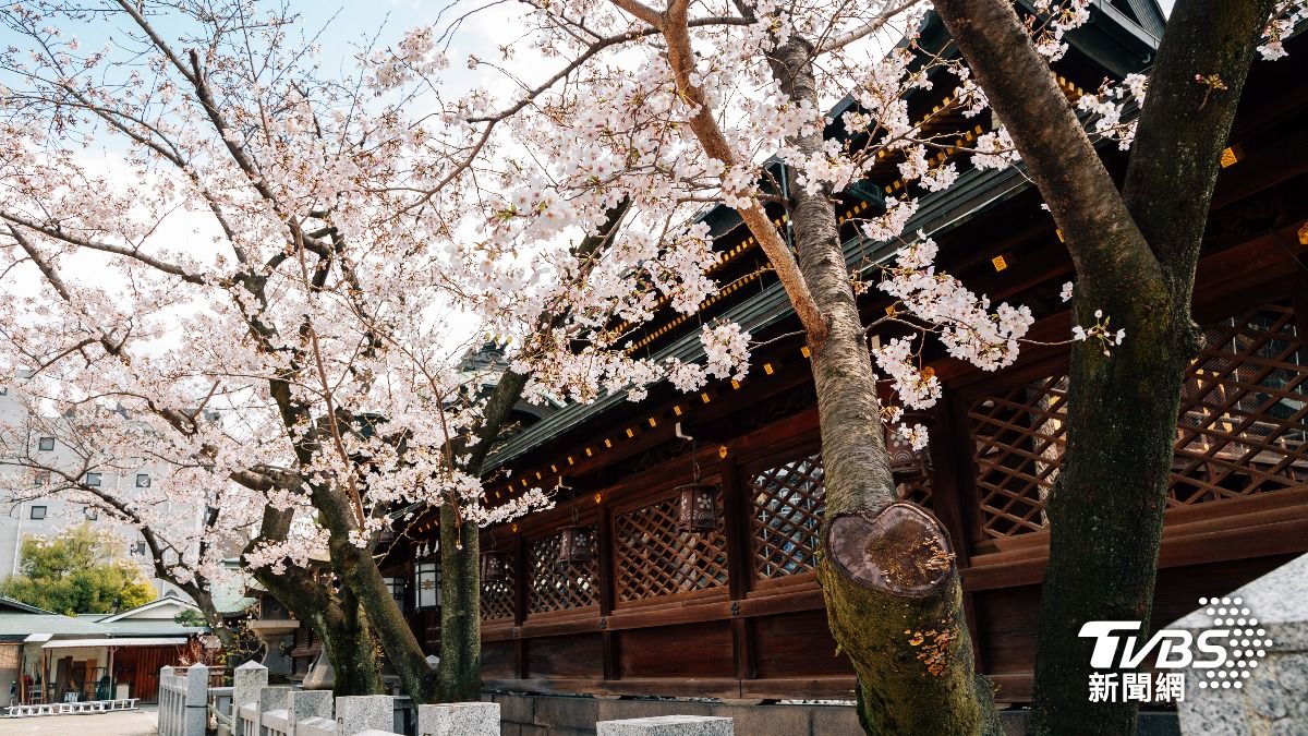 神社上演活春宮!日熟女張腿交纏61歲老外 參拜民眾嚇壞急報警