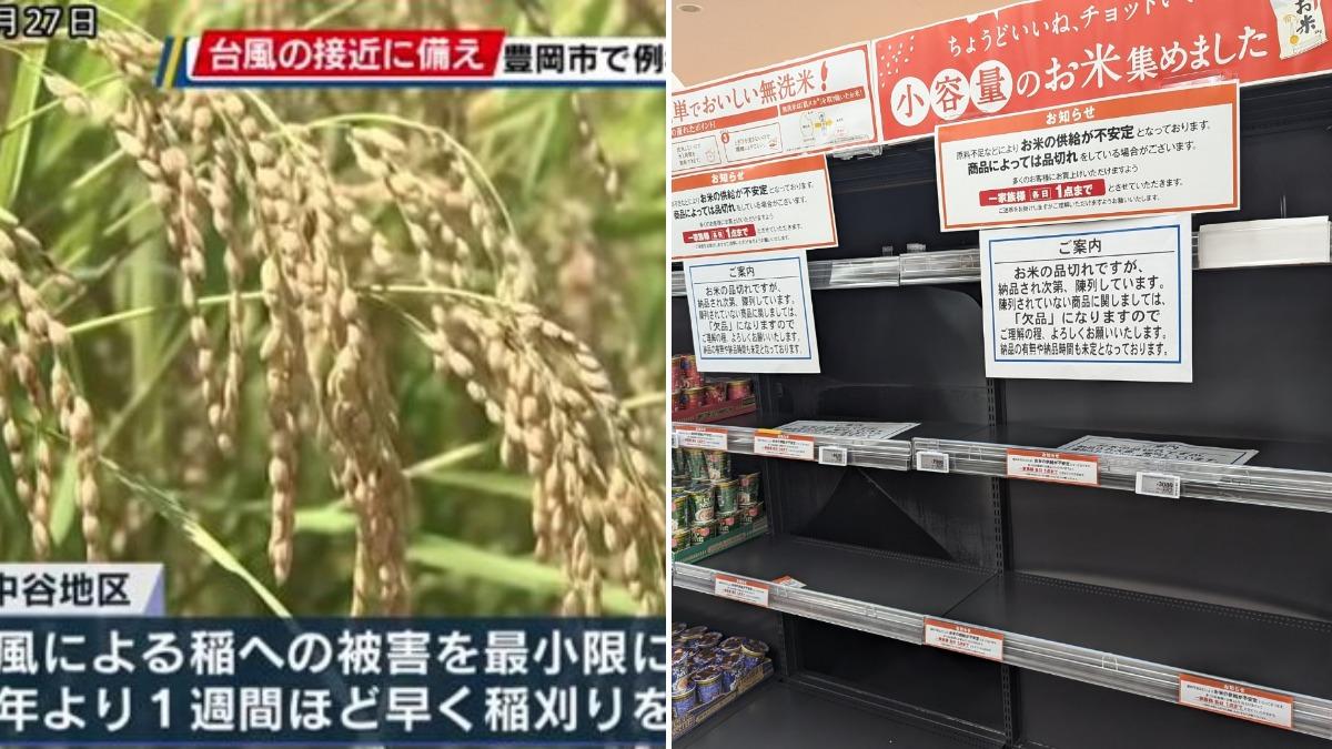 憂令和米荒加劇!珊珊颱風龜速恐有破紀錄暴雨 各地農民趕收割