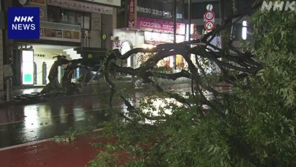 東京澀谷30日一顆大樹被大風吹倒橫躺路上。（圖／翻攝自NHK）