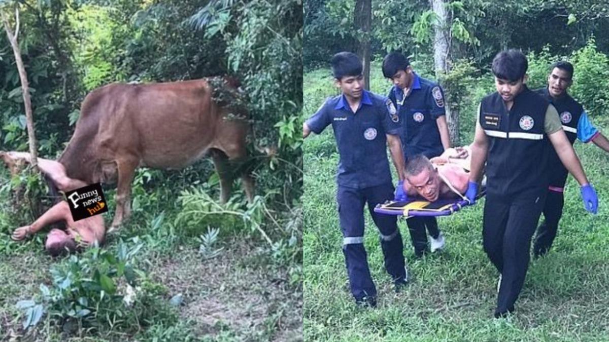 疑被分手失控!俄男遊泰國「硬上母牛」 逃兵2年恐被遣返送烏克蘭打仗