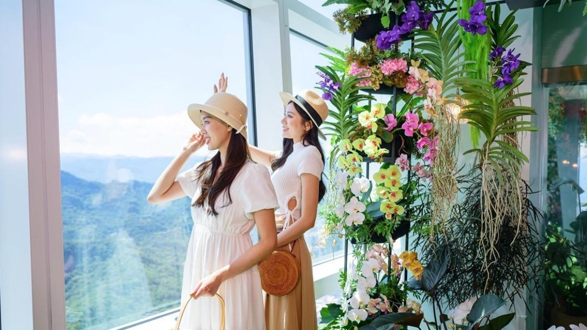 目前的觀景台活動,有《蕨.蘭之美》高空原生物種花藝展,可以盡情拍照打卡。(圖/台北101觀景台臉書)