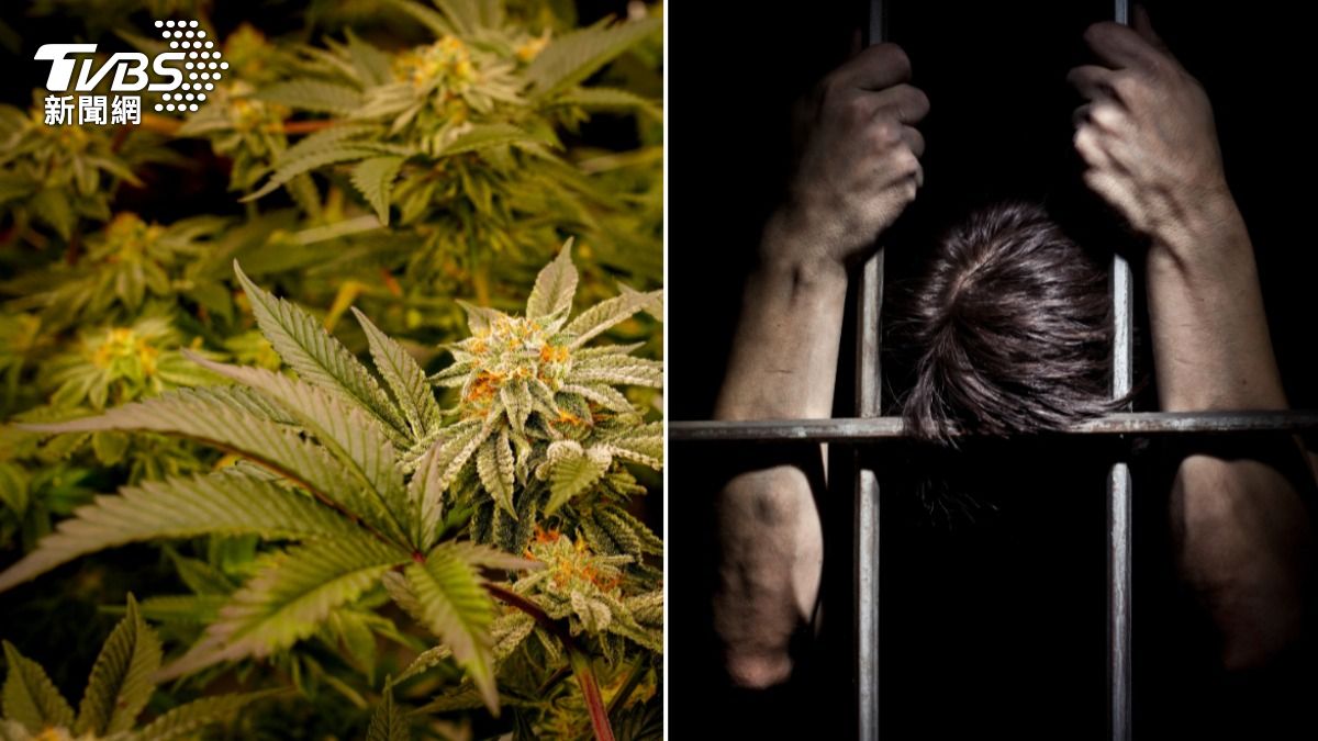 想害妻被判死!星國男「外遇欲離婚」 買大麻塞她車內