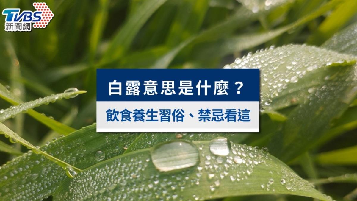 2024白露節氣》白露意思是什麼?飲食養生習俗、禁忌一次看