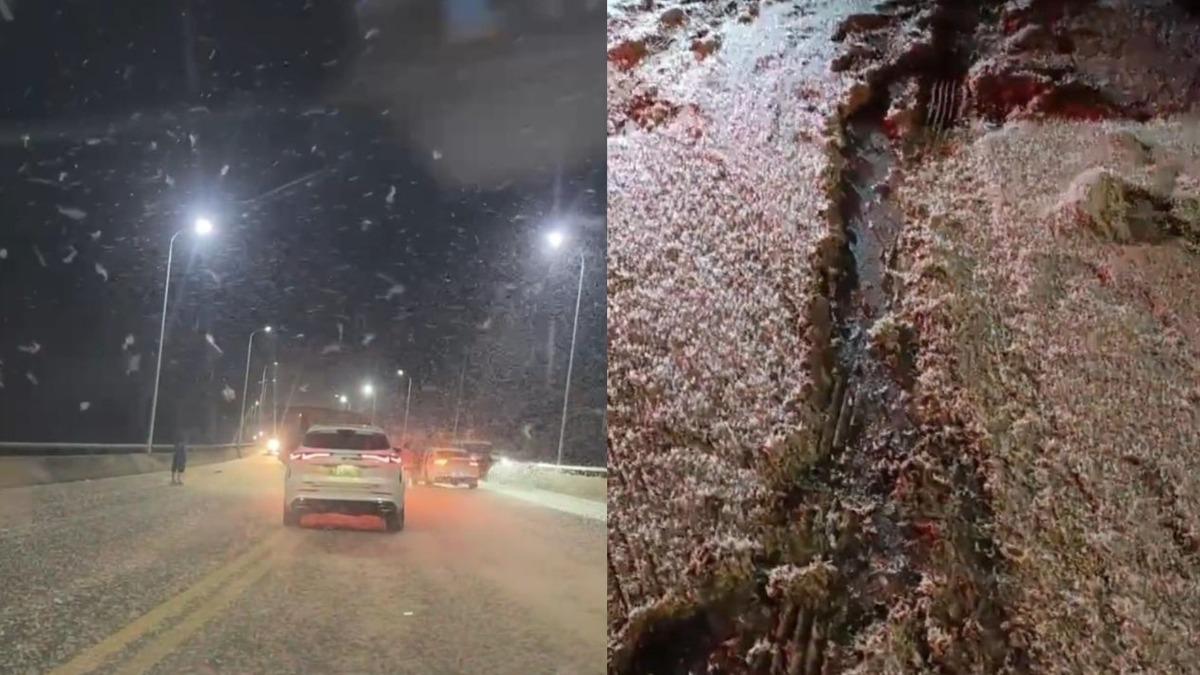 湖南高溫下雪？「10億隻蜉蝣」漫天飄落　橋面5公分厚蟲屍釀打滑相撞