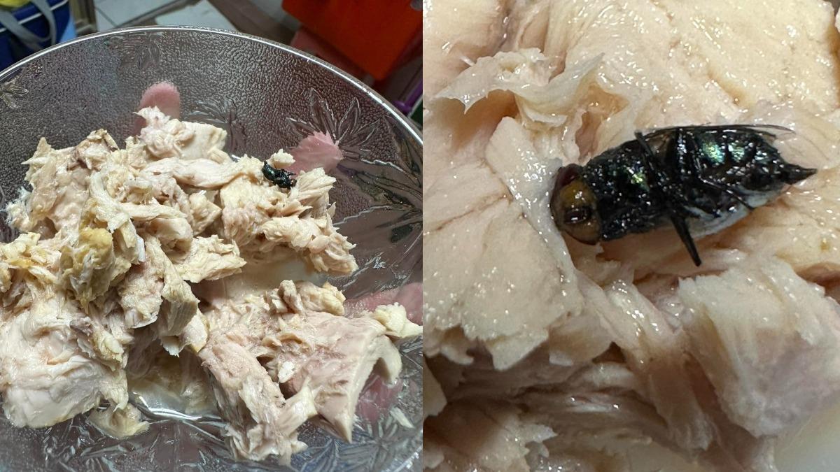 大牌鮪魚罐頭「倒出大蒼蠅」!中元普渡囤超多 她崩潰曬高清照