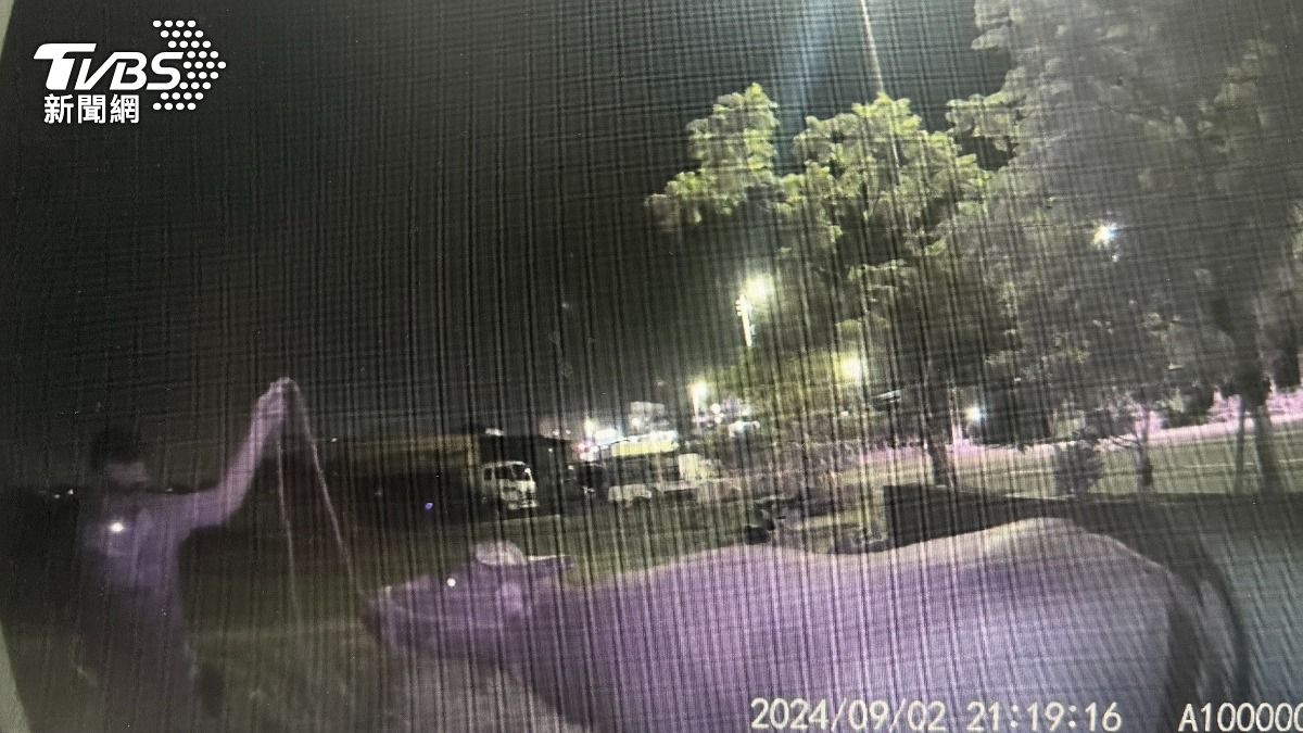 心情不好?苗栗大水牛離家逛街 警化身「牛仔」牽走