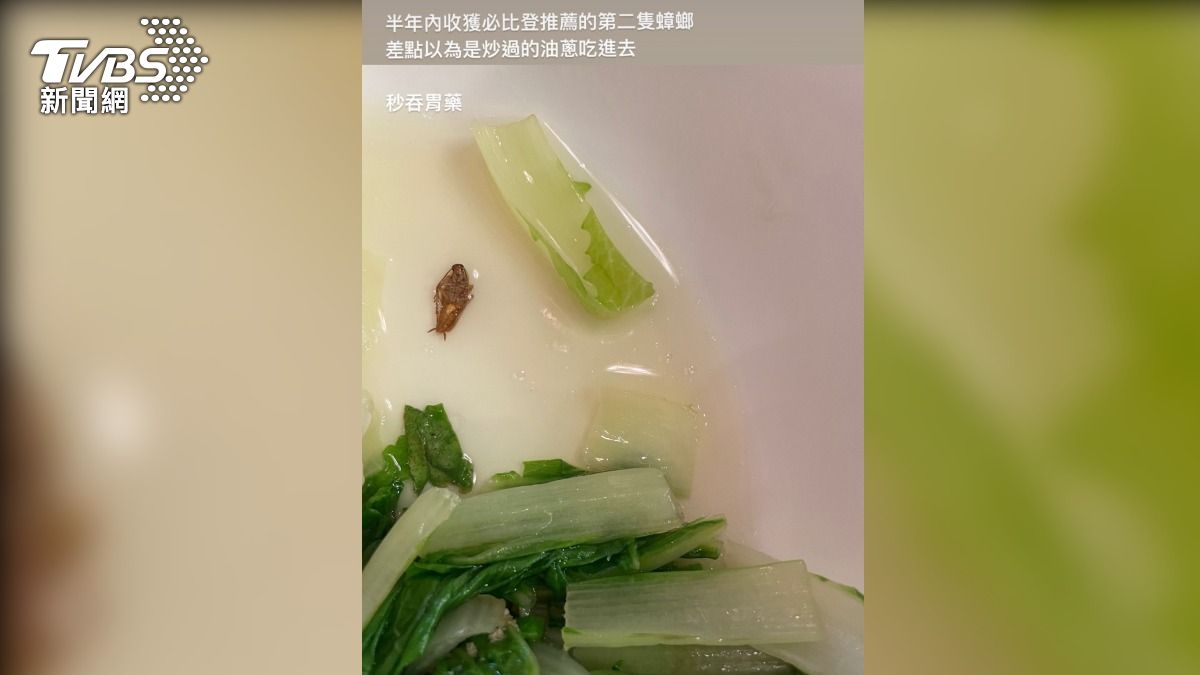 雙月小白菜驚現蟑螂。(圖/讀者提供)