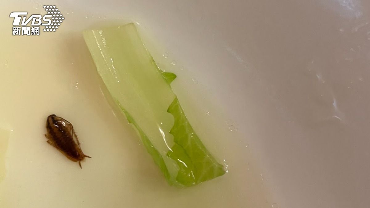 獨/必比登推薦餐廳出包!雙月小白菜「驚現蟑螂」 她急吞胃藥