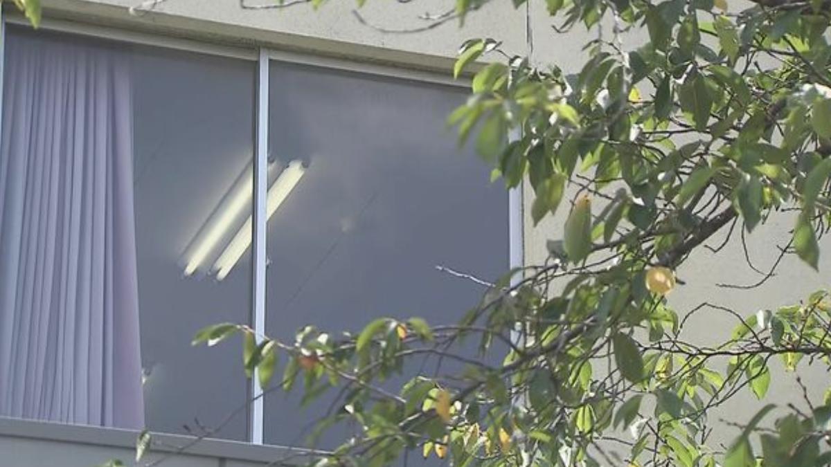 日師為趕蜜蜂「教室狂噴殺蟲劑」 15名小學生噁心喉嚨痛急送醫