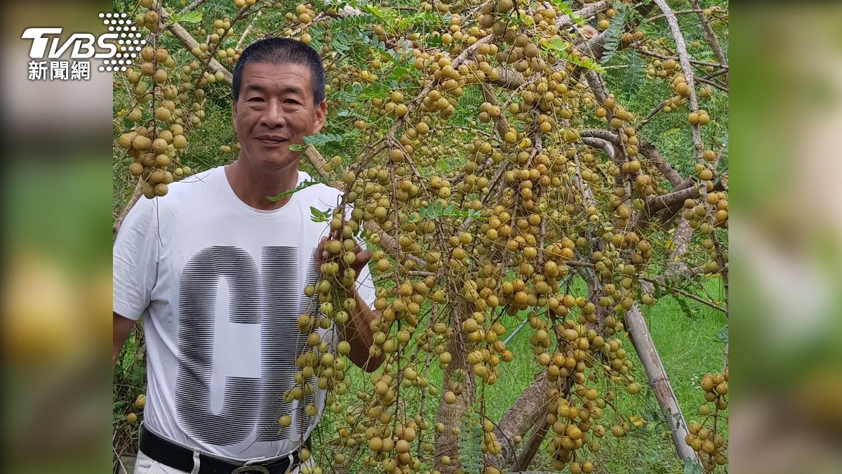 民眾稱涂習麟為油甘之父。(圖/家屬提供)