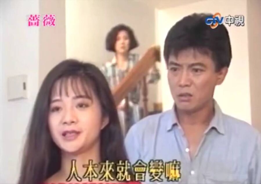 如今應曉薇涉賄遭羈押,過去劇情遭挖出被形容是「本色演出」。(圖/翻攝自threads)