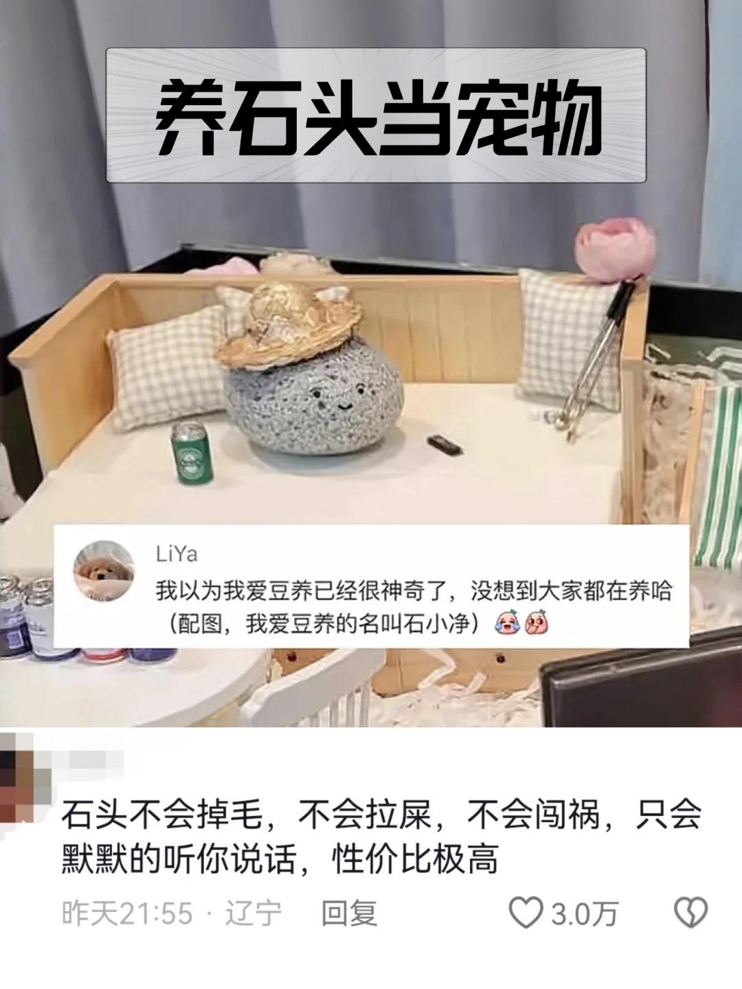 寵物石頭成為年輕人們的新寵。(圖/翻攝自小紅書)