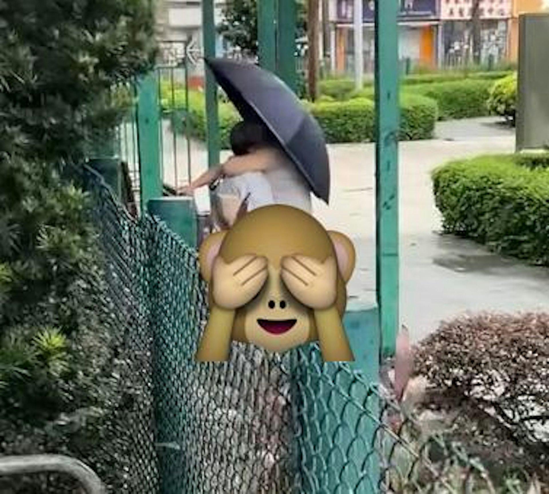兩人沒有脫衣服，但一直搖擺身體，疑似有性行為動作。（圖／影片截圖）