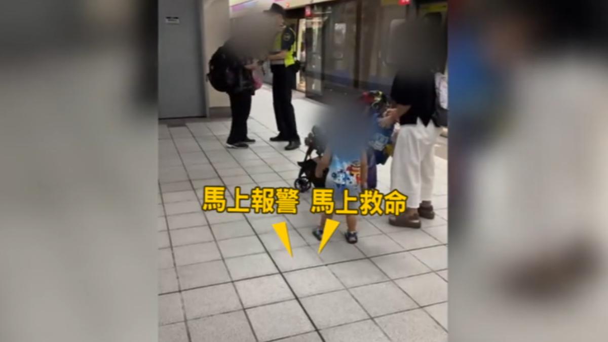 圖/影片提供 河豚Pufferfish