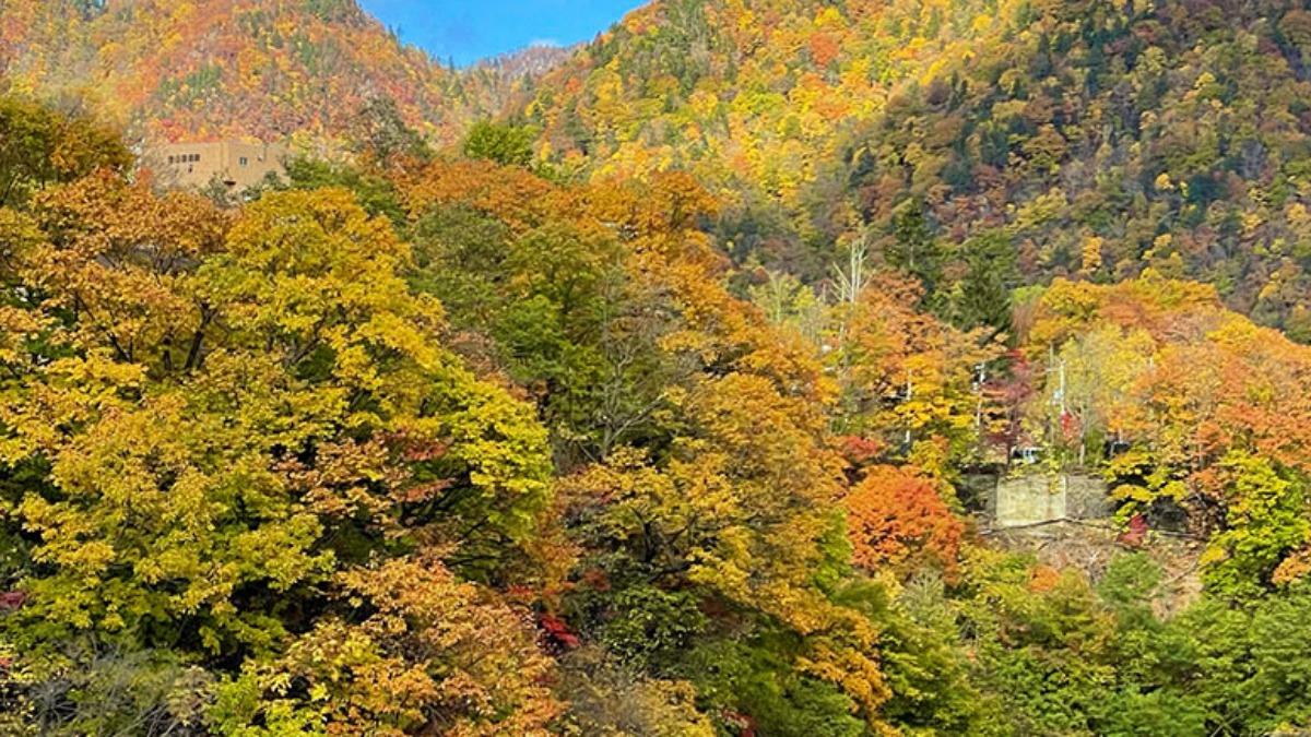 北海道：9月中旬～10月下旬（圖／擷取自Weather News）