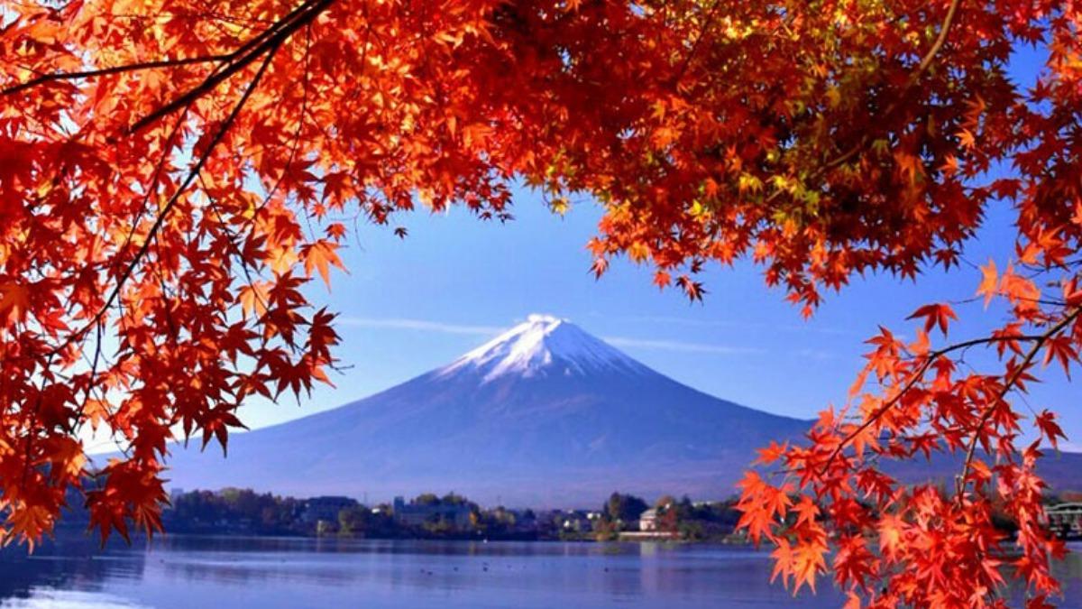 中部地區：9月下旬～12月上旬。（圖／擷取自Weather News）