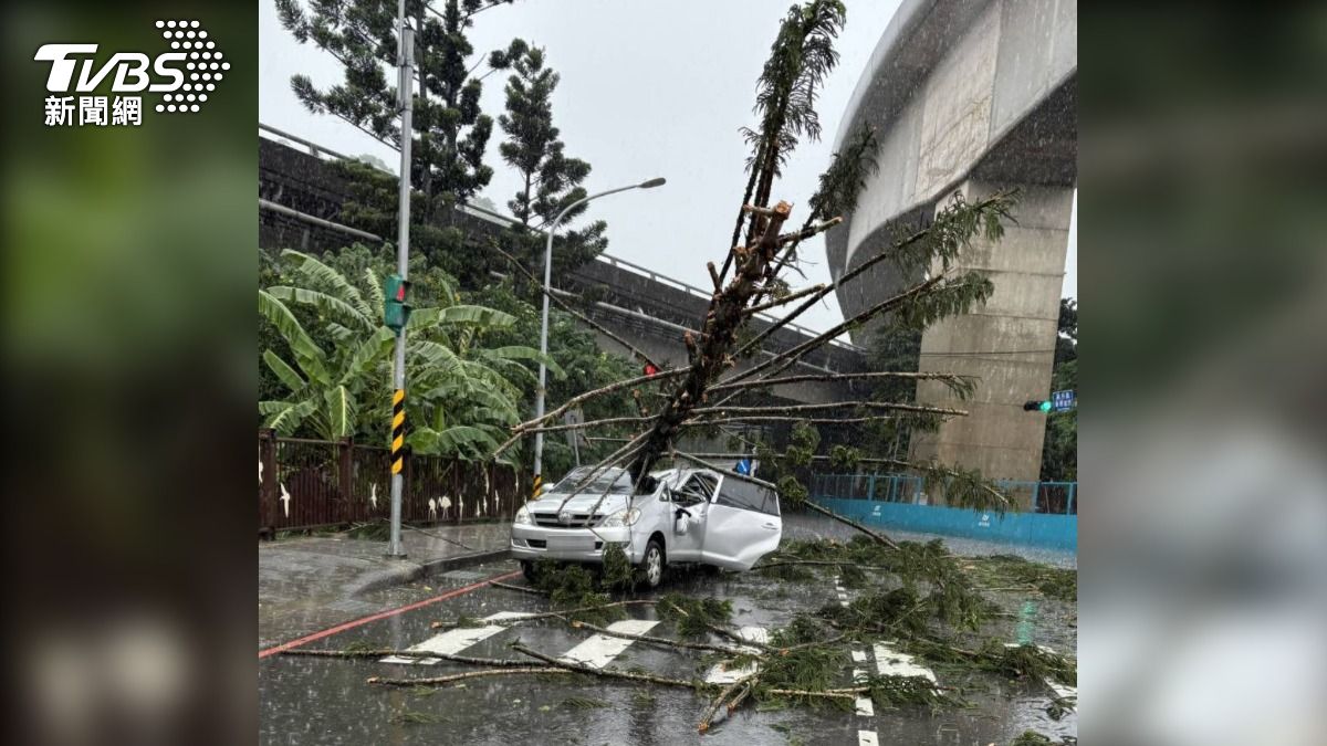 暴雨導致路樹倒塌砸中休旅車造成一人受傷送醫。（圖／TVBS）