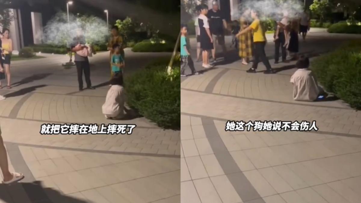 目睹孫女被追!他怒抓起「當場摔死小狗」 飼主抱屍喊:又沒咬人