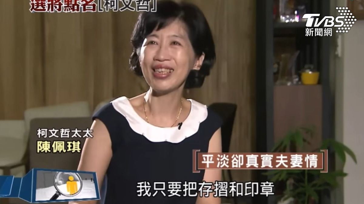 陳佩琪受訪。（圖／TVBS資料畫面）