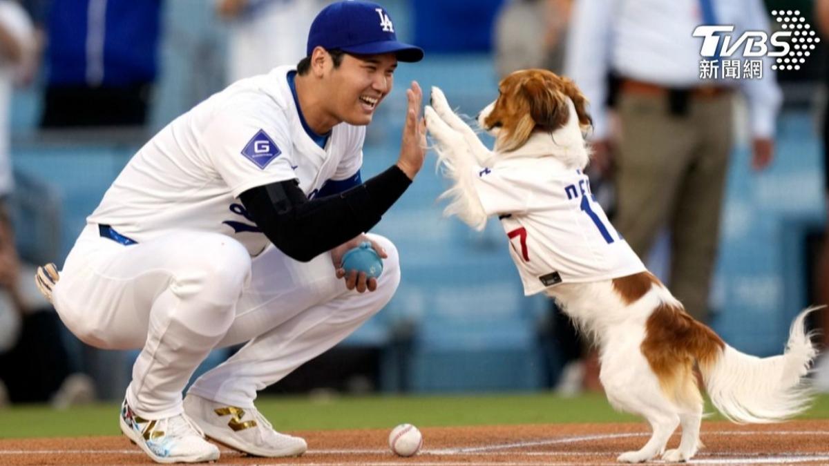大谷與愛犬Decoy一同開球。（圖／達志影像美聯社）