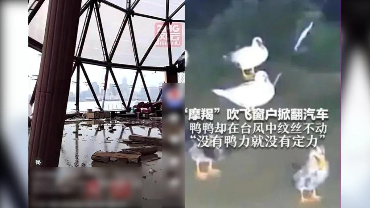 魔羯颱風狂襲!陸餐廳崩毀鴨群卻不動 網:「渦輪增鴨」好強