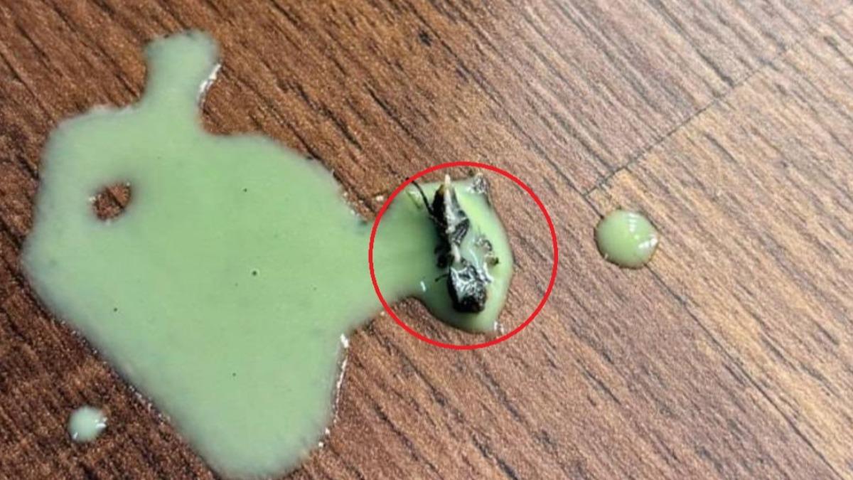 求償60萬!點抹茶喝到「破肚蒼蠅全死蛆」 台中女怒告星巴克